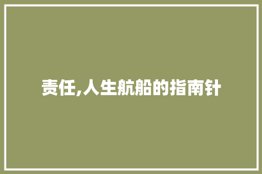 责任,人生航船的指南针