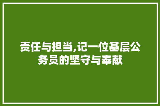 责任与担当,记一位基层公务员的坚守与奉献