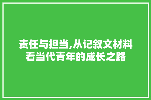 责任与担当,从记叙文材料看当代青年的成长之路