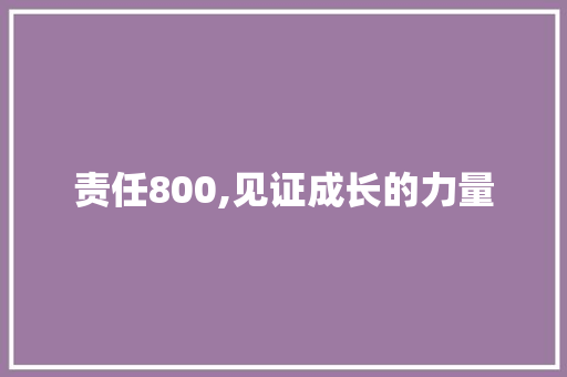 责任800,见证成长的力量