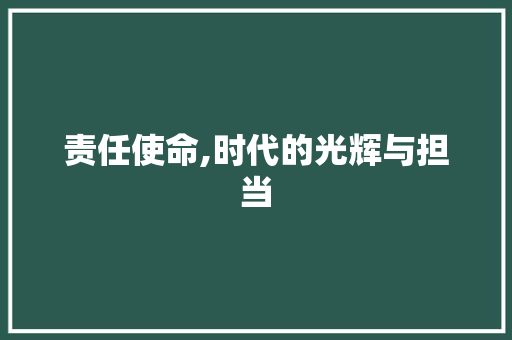 责任使命,时代的光辉与担当