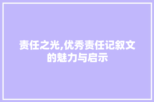 责任之光,优秀责任记叙文的魅力与启示