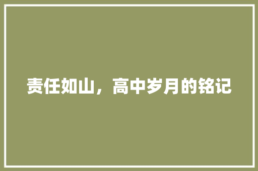 责任如山，高中岁月的铭记