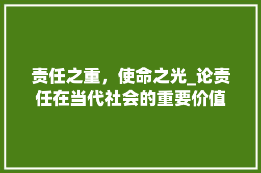 责任之重，使命之光_论责任在当代社会的重要价值