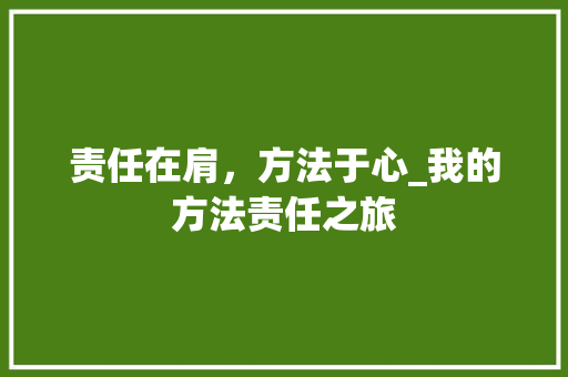 责任在肩，方法于心_我的方法责任之旅