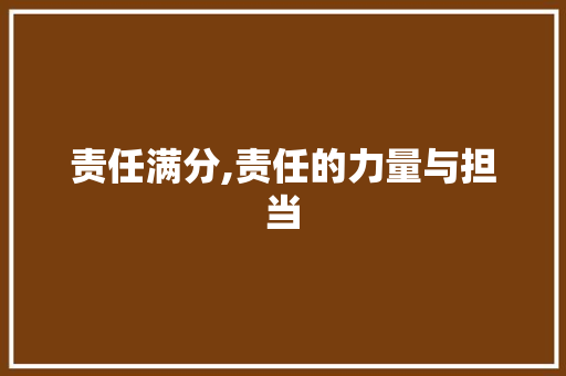 责任满分,责任的力量与担当