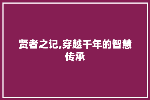 贤者之记,穿越千年的智慧传承