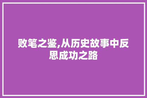 败笔之鉴,从历史故事中反思成功之路