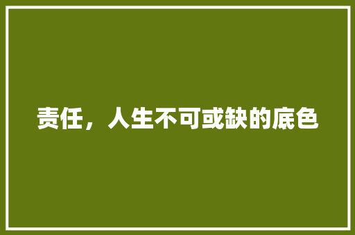 责任，人生不可或缺的底色