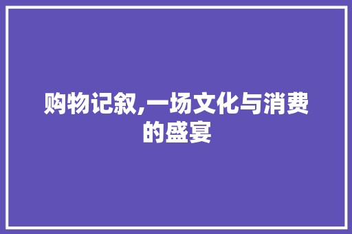 购物记叙,一场文化与消费的盛宴