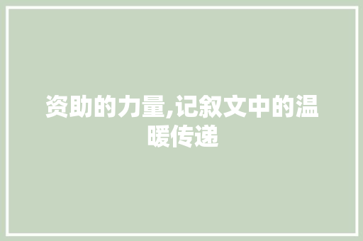 资助的力量,记叙文中的温暖传递