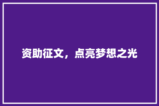 资助征文，点亮梦想之光