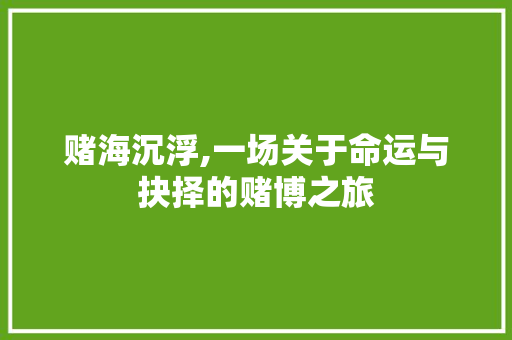 赌海沉浮,一场关于命运与抉择的赌博之旅