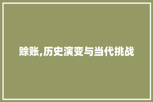 赊账,历史演变与当代挑战