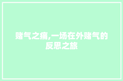 赌气之痛,一场在外赌气的反思之旅