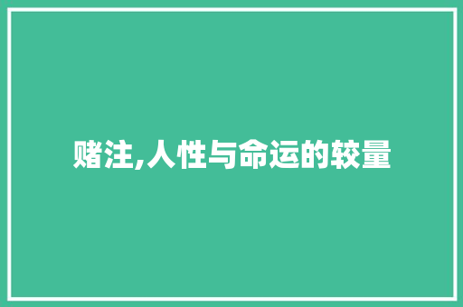 赌注,人性与命运的较量