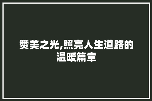 赞美之光,照亮人生道路的温暖篇章