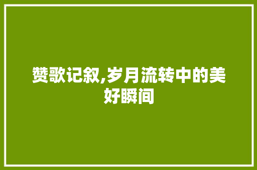 赞歌记叙,岁月流转中的美好瞬间