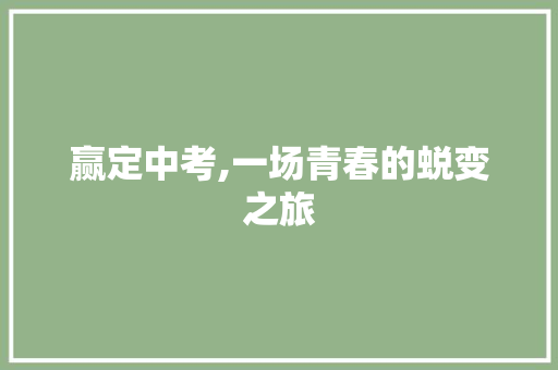 赢定中考,一场青春的蜕变之旅 论文范文