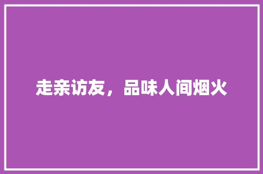 走亲访友，品味人间烟火