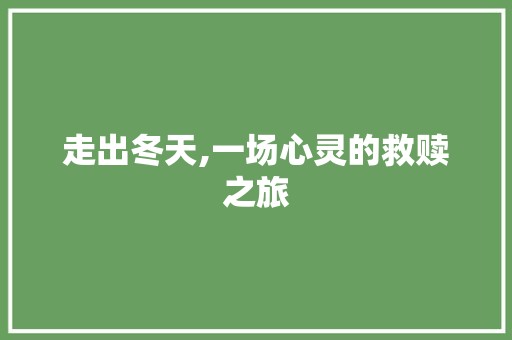 走出冬天,一场心灵的救赎之旅