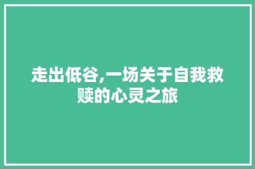 走出低谷,一场关于自我救赎的心灵之旅