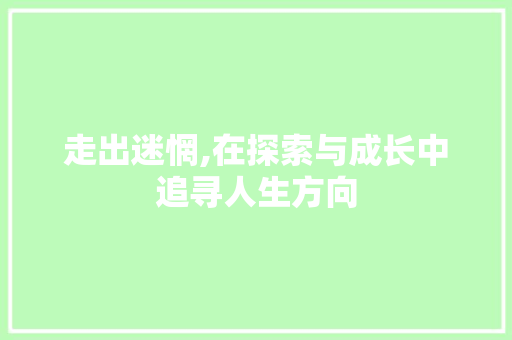 走出迷惘,在探索与成长中追寻人生方向