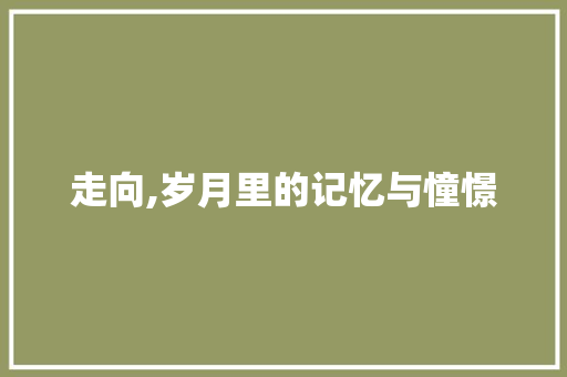 走向,岁月里的记忆与憧憬 申请书范文