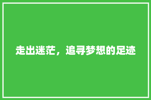 走出迷茫，追寻梦想的足迹