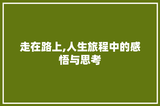 走在路上,人生旅程中的感悟与思考