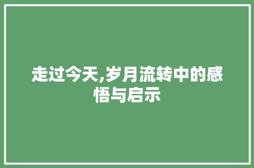 走过今天,岁月流转中的感悟与启示