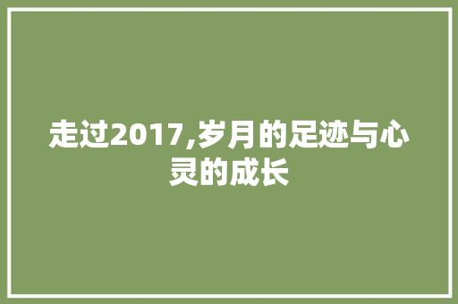 走过2017,岁月的足迹与心灵的成长