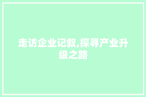 走访企业记叙,探寻产业升级之路