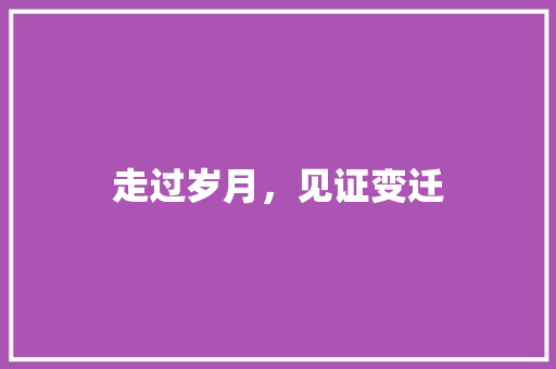 走过岁月，见证变迁 书信范文