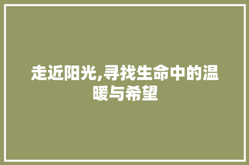 走近阳光,寻找生命中的温暖与希望