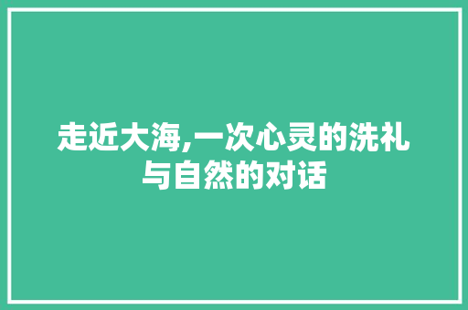 走近大海,一次心灵的洗礼与自然的对话