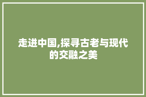 走进中国,探寻古老与现代的交融之美