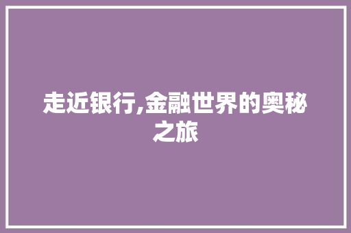 走近银行,金融世界的奥秘之旅