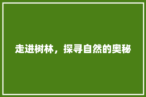 走进树林，探寻自然的奥秘