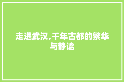 走进武汉,千年古都的繁华与静谧 报告范文