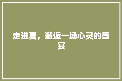 走进夏，邂逅一场心灵的盛宴 职场范文