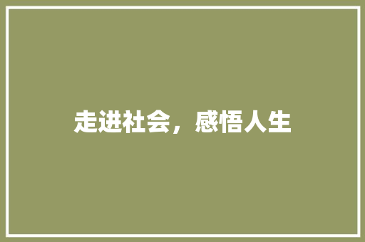 走进社会，感悟人生