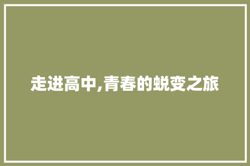 走进高中,青春的蜕变之旅