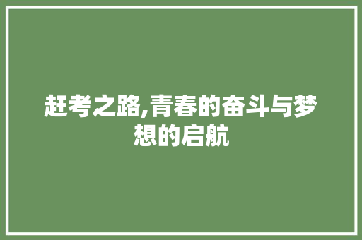 赶考之路,青春的奋斗与梦想的启航