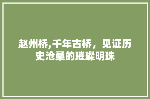 赵州桥,千年古桥，见证历史沧桑的璀璨明珠