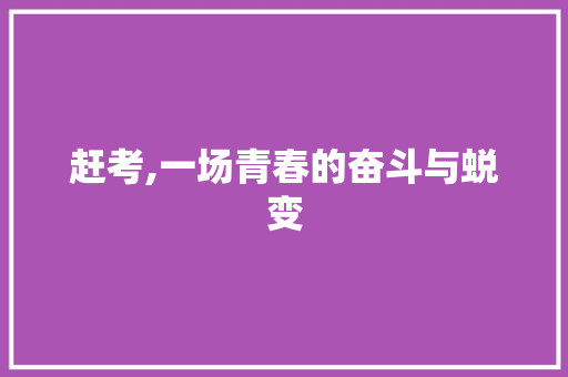 赶考,一场青春的奋斗与蜕变