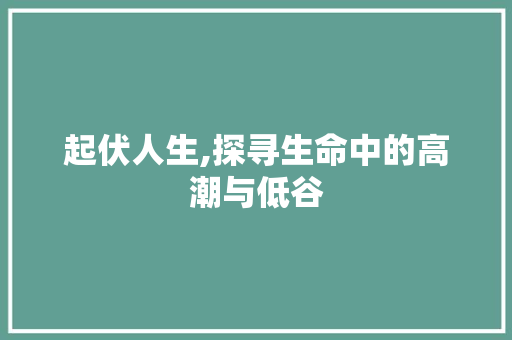 起伏人生,探寻生命中的高潮与低谷