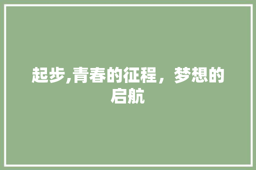 起步,青春的征程，梦想的启航