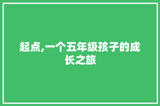 起点,一个五年级孩子的成长之旅