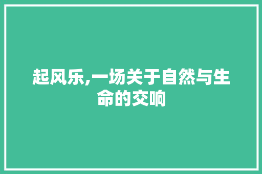 起风乐,一场关于自然与生命的交响